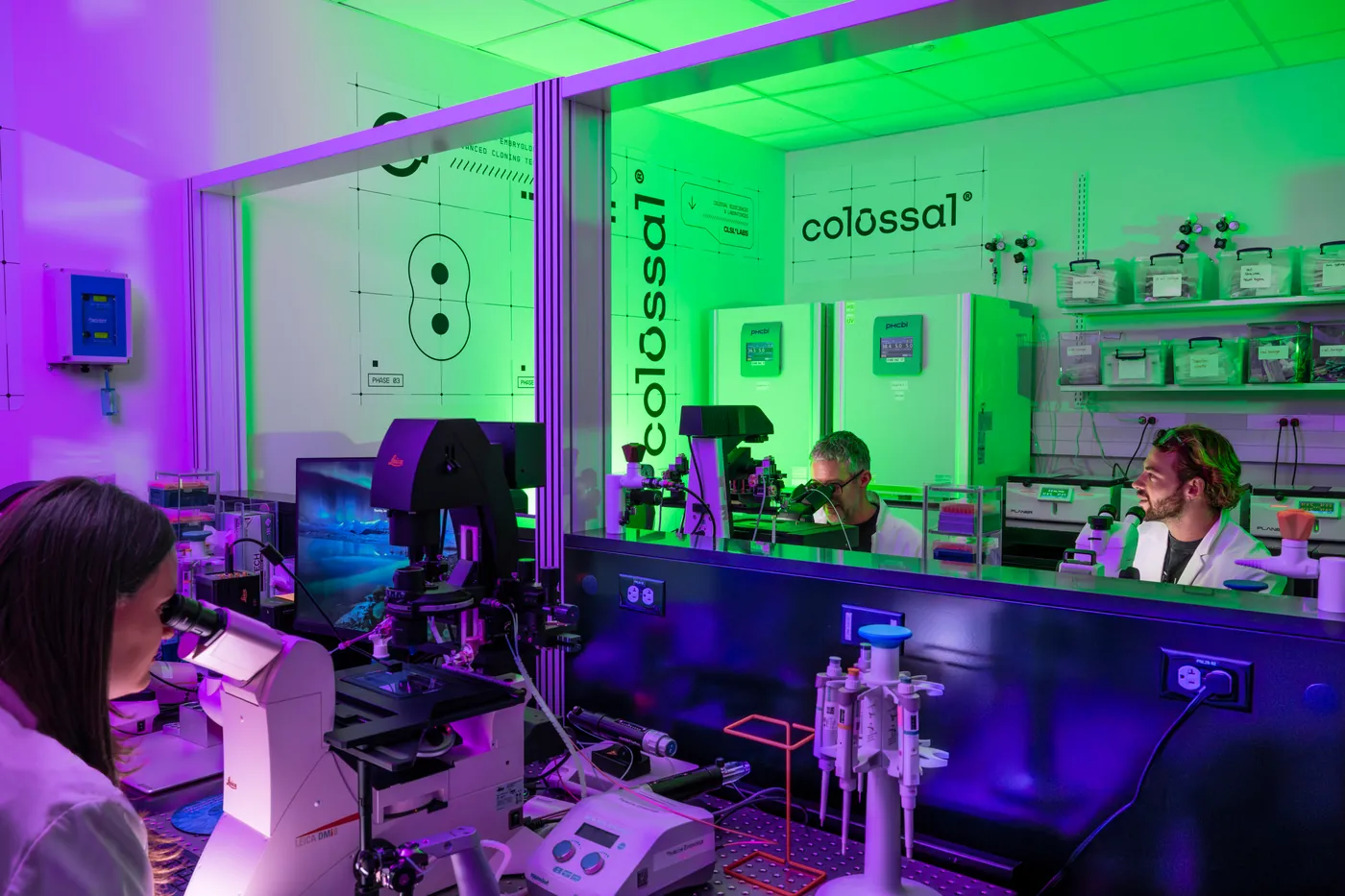 Colossal Biosciences laboratory